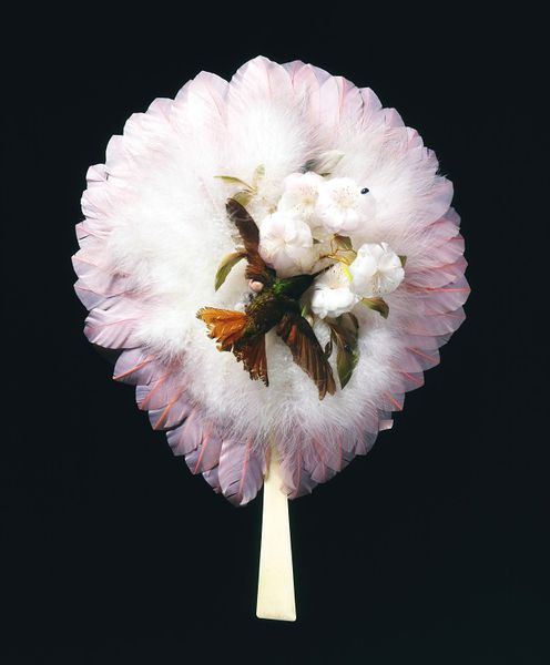 feather and stuffed bird fan with ivory handle, 1880s, V&A
